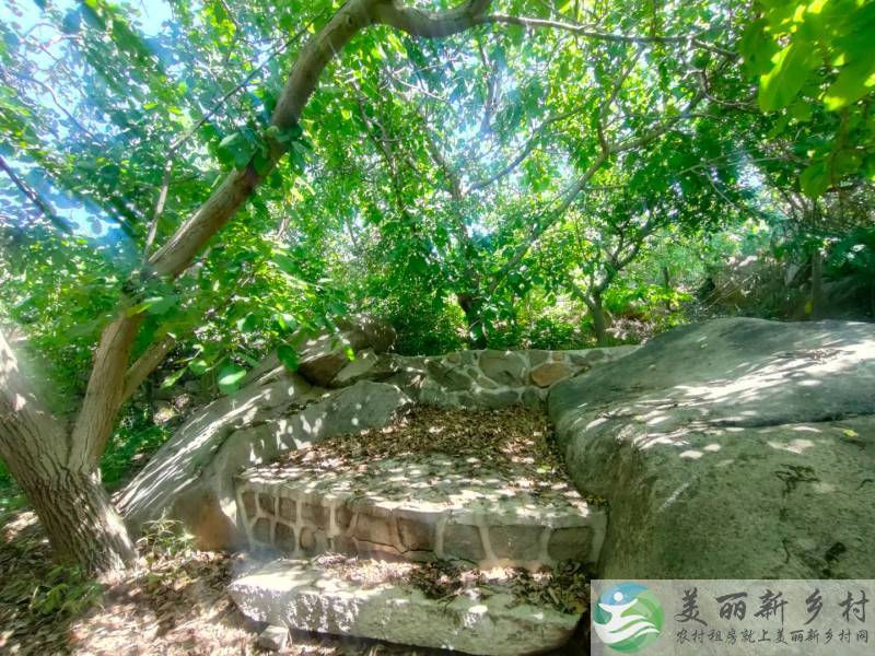 密云太师屯镇水库精品小院~山水民居67号院拎包入住