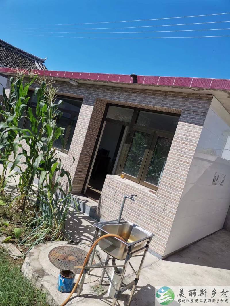 太师屯镇桑园村自家小院长租