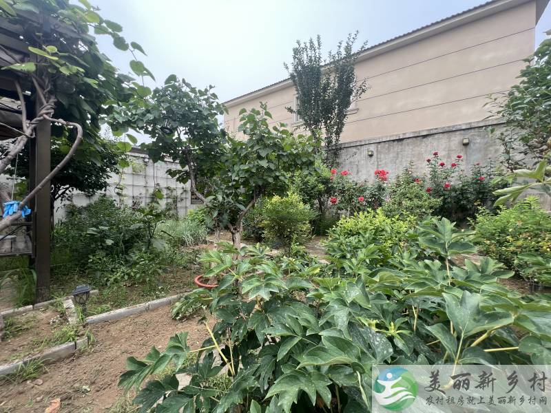 李遂风格小院，种菜养花，车能进院，必须稳定