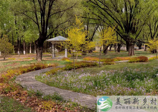 北京野鸭湖附近波西米亚风560平农村大院，超大泳池，户户私汤-云雀