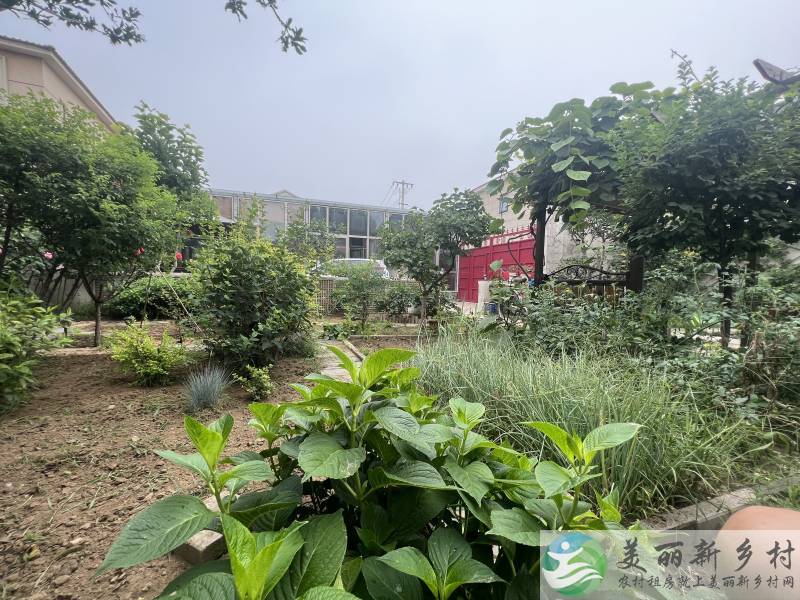 李遂风格小院，种菜养花，车能进院，必须稳定