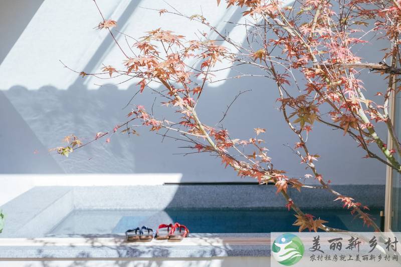北京延庆龙庆峡脚下精装日式风格原木风院子出租-处暑