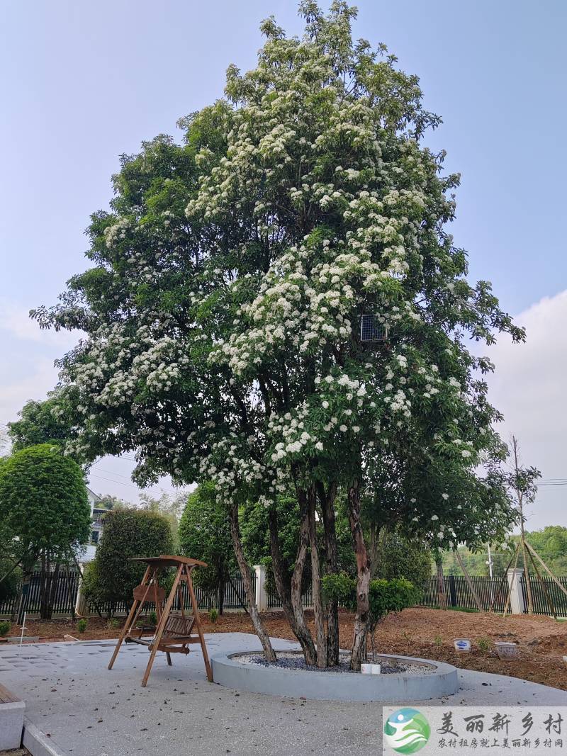湖南省娄底市娄星区水洞底镇农村院子出租