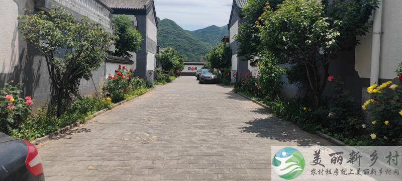 乡村小院出租