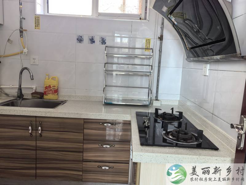 大华山镇精装小院出租