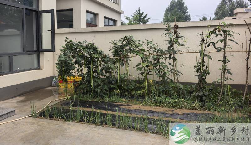 杨镇地区荆坨村自建别墅小院