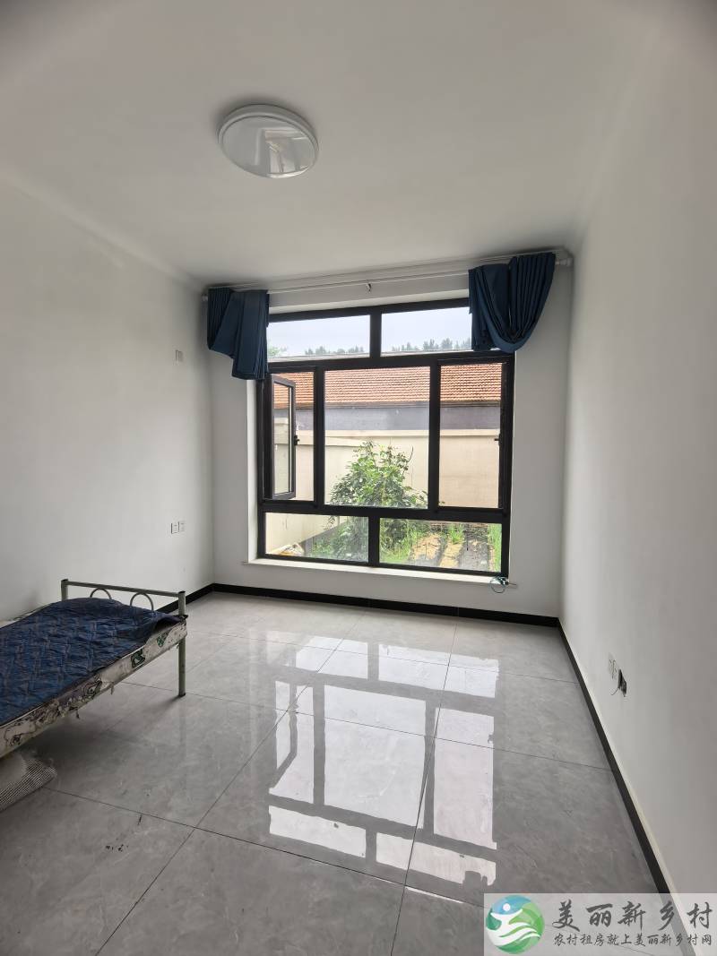 杨镇地区荆坨村自建别墅小院
