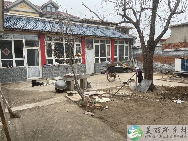 牛栏山镇平房独门独院出租