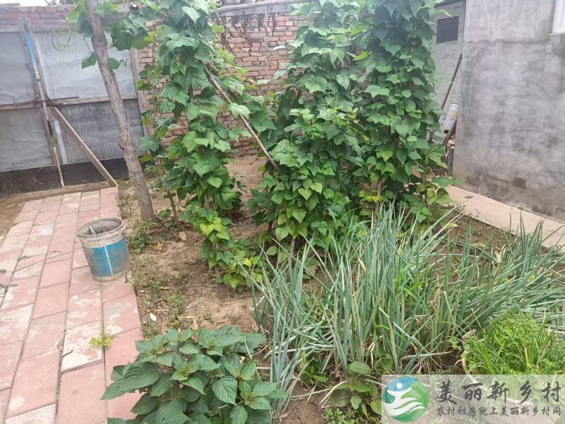 琉璃河镇立教村房源出租
