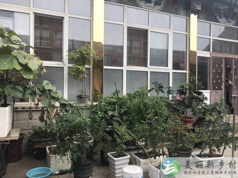 北京顺义南法信农村小院出租-近地铁