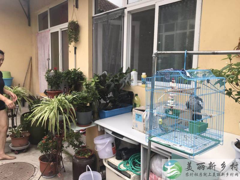 北京顺义南法信农村小院出租-近地铁