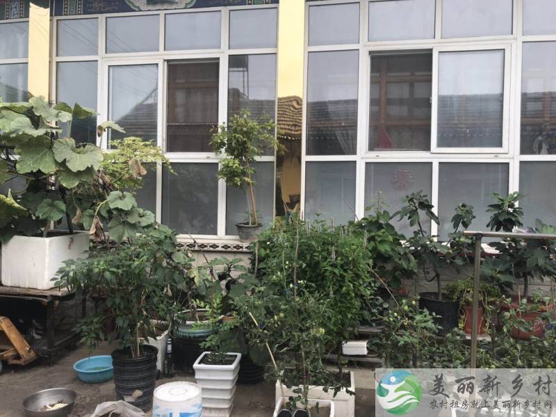 北京顺义南法信农村小院出租-近地铁