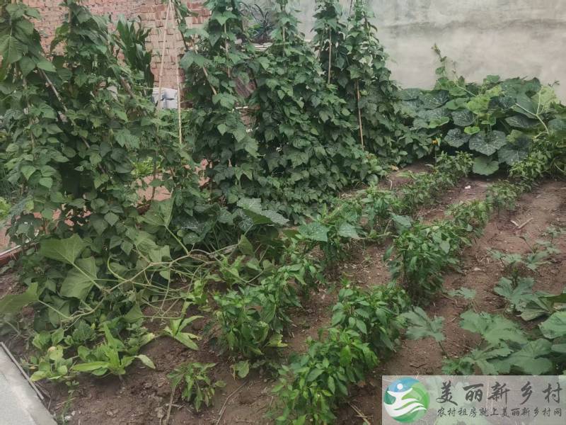 延庆镇卓家营村