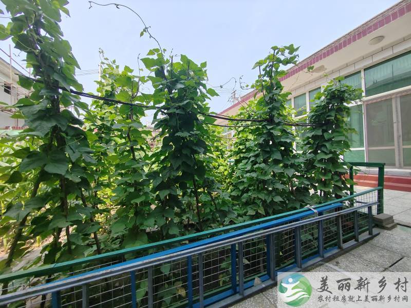 租院首选—怀柔青龙峡雁西湖带火炕500平大院低价出租