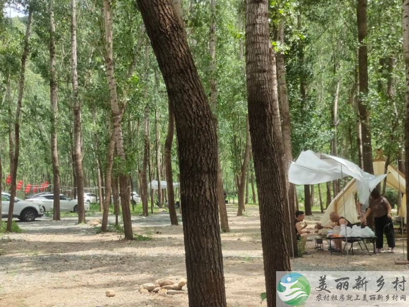 密云北庄镇月亮湾露营基地~清水河畔58号