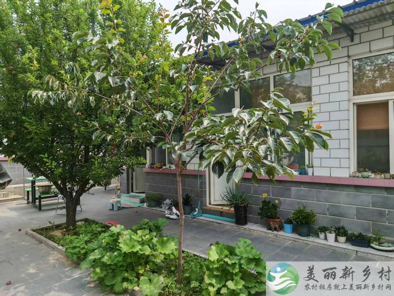 北京顺义南彩镇杜刘庄村悦心园农村院子出租