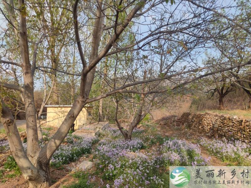 密云北庄镇可翻建二层院子~清水河畔62号院