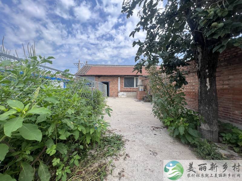 李遂宠物寄养大院，可以长租改造