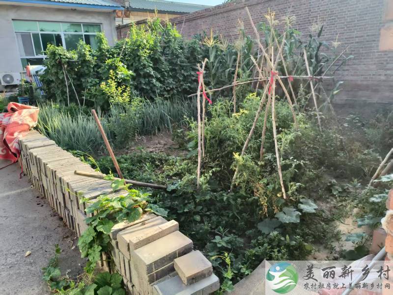 紧邻平谷线地铁齐心庄站出口1公里
