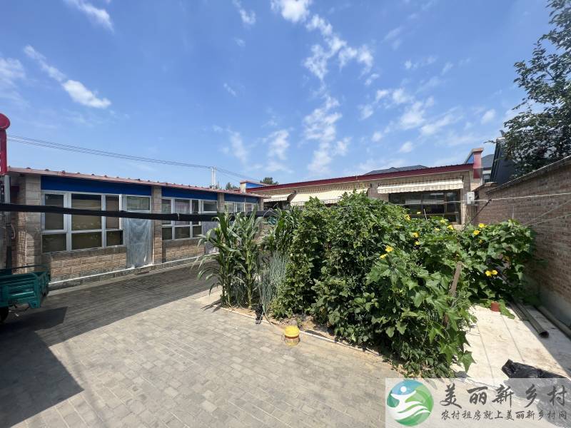 北务村边，种菜院子，家具家电齐全