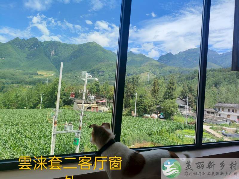 避暑康养套房