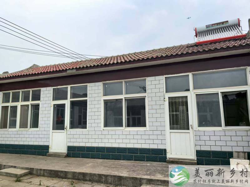 安定镇后安定村整院出租