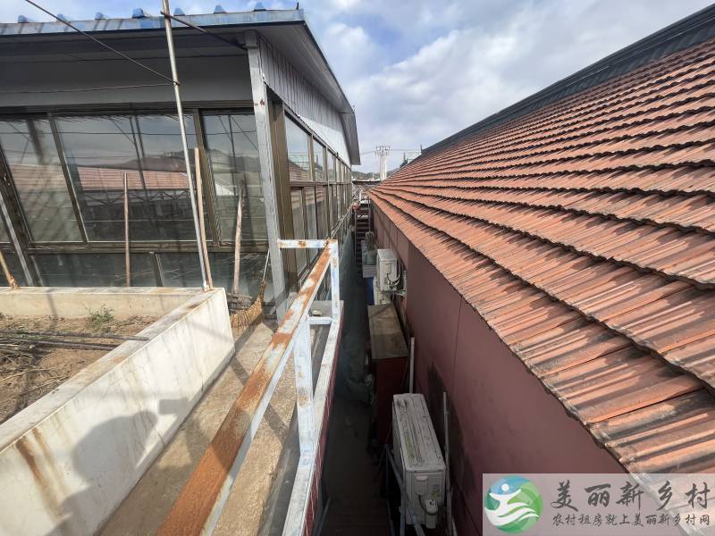 北京市密云区金叵罗村小院出租
