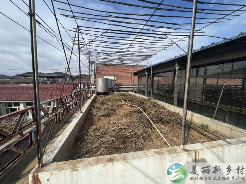 北京市密云区金叵罗村小院出租