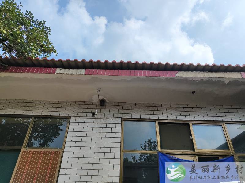 整院出租，环境优美