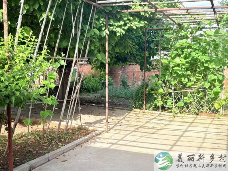 木林镇三居整院出租