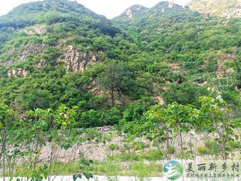 妙峰山镇岭角村  独门独院200平 二层小楼出租