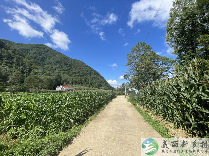 陕西汉中西乡县山里农村房子出租
