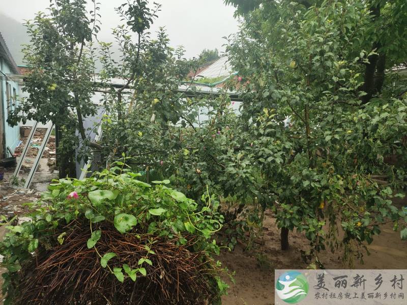 怀柔区素云靠山临水整院出租