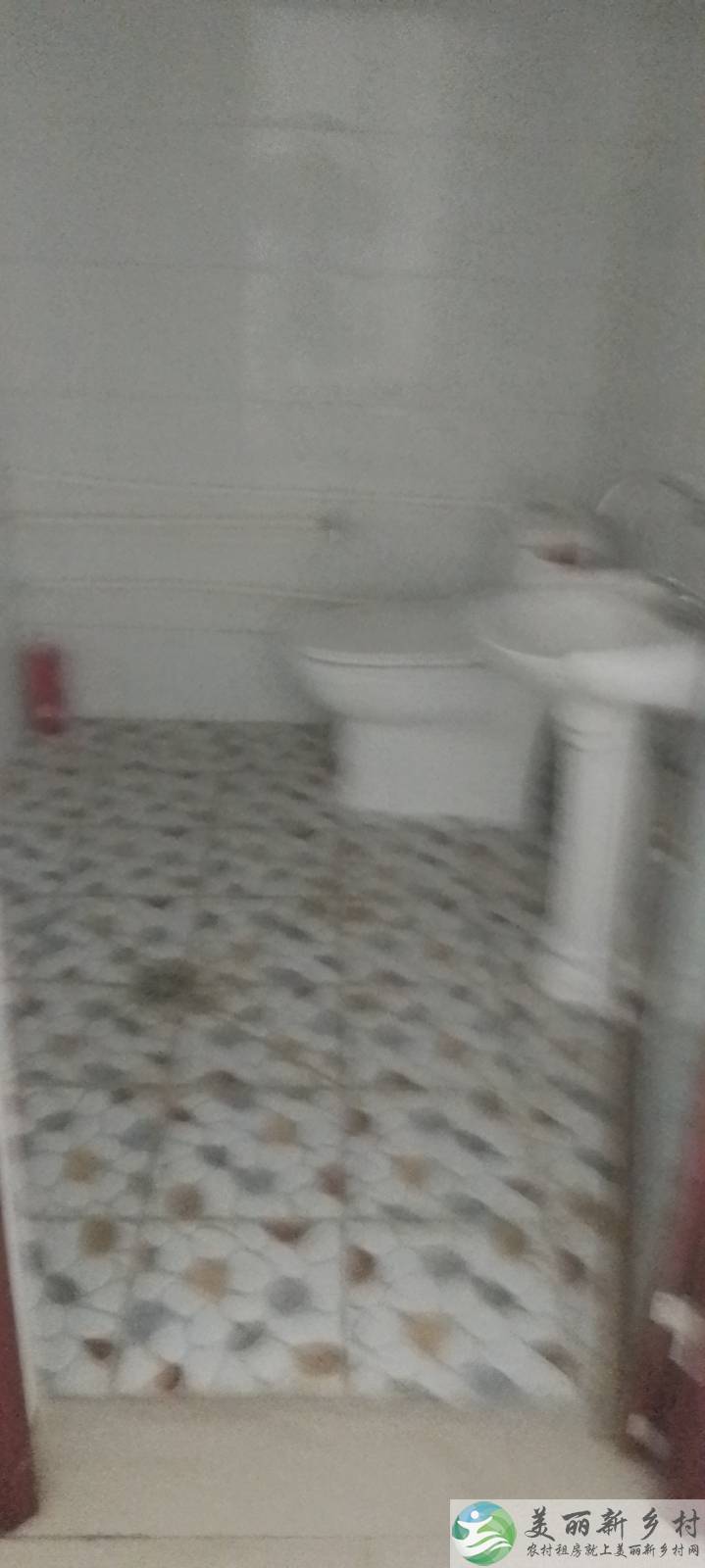桥梓镇。东茶坞村。房屋出租。