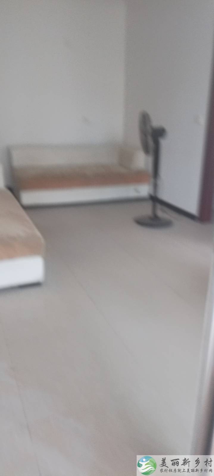 桥梓镇。东茶坞村。房屋出租。