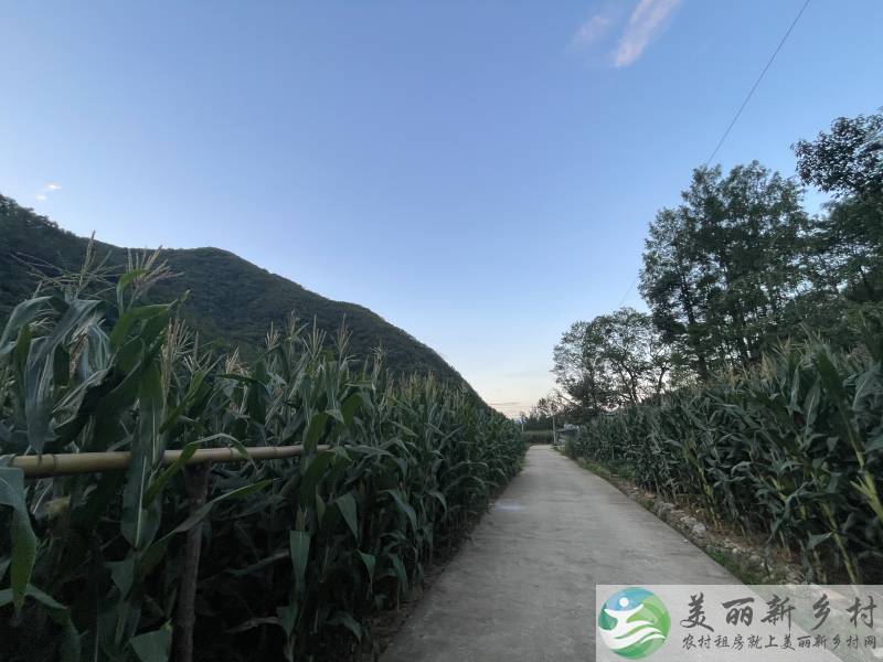 陕西汉中西乡县山里农村房子出租