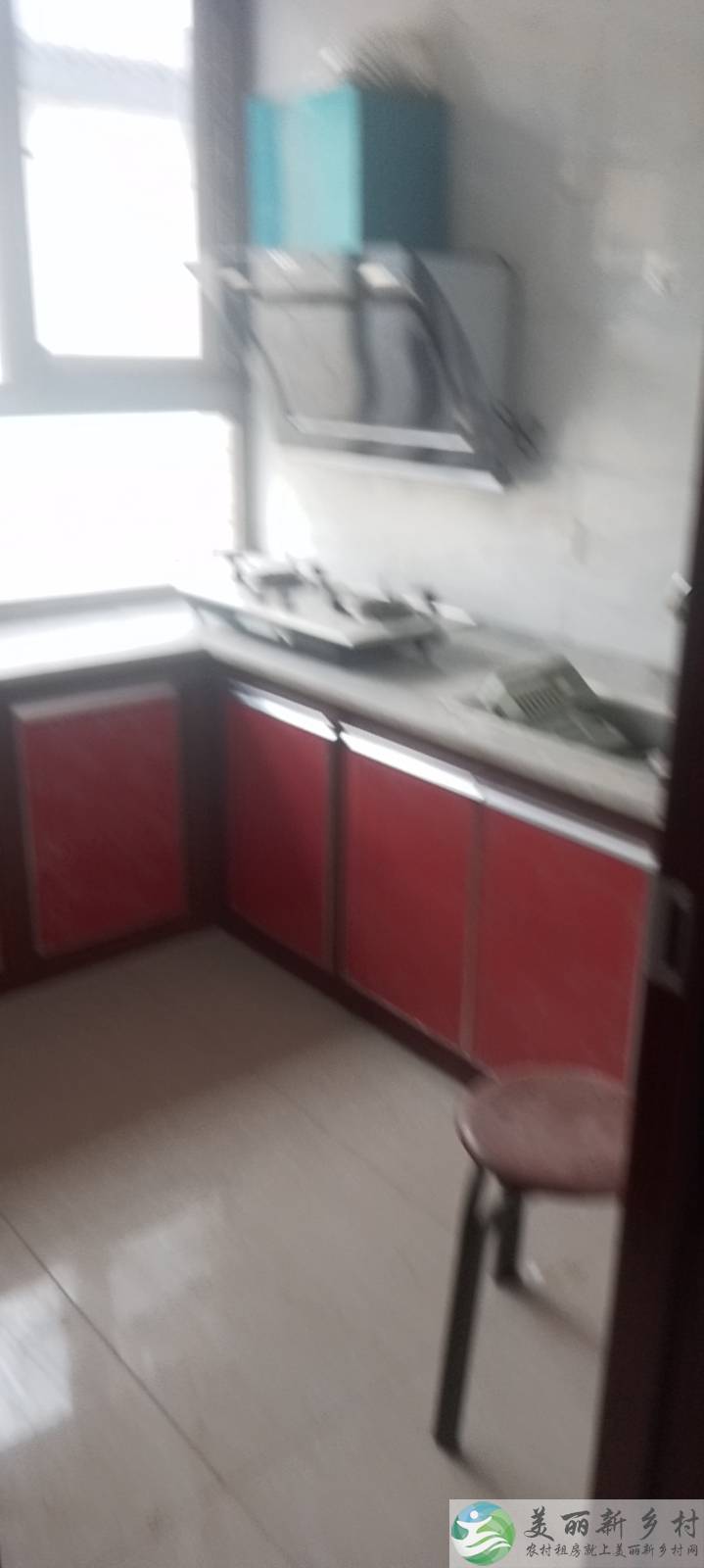 桥梓镇。东茶坞村。房屋出租。