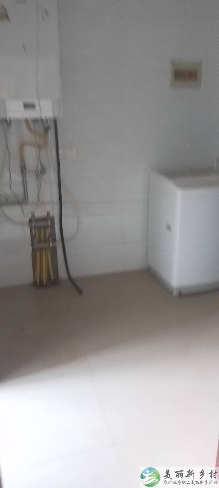 桥梓镇。东茶坞村。房屋出租。