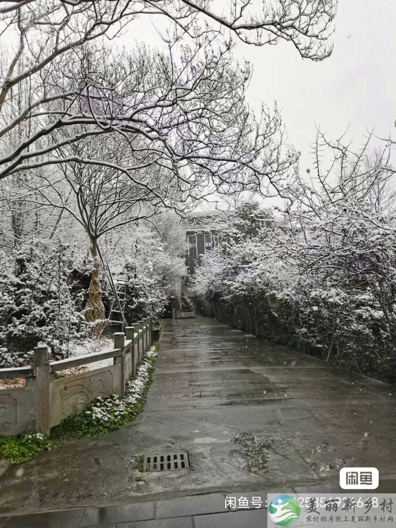 郫都区农科村 4A 景区内农家乐出租