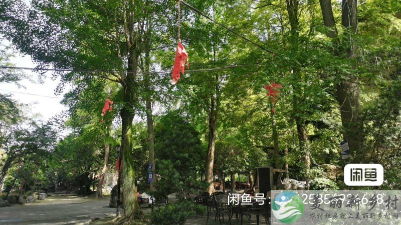 郫都区农科村 4A 景区内农家乐出租