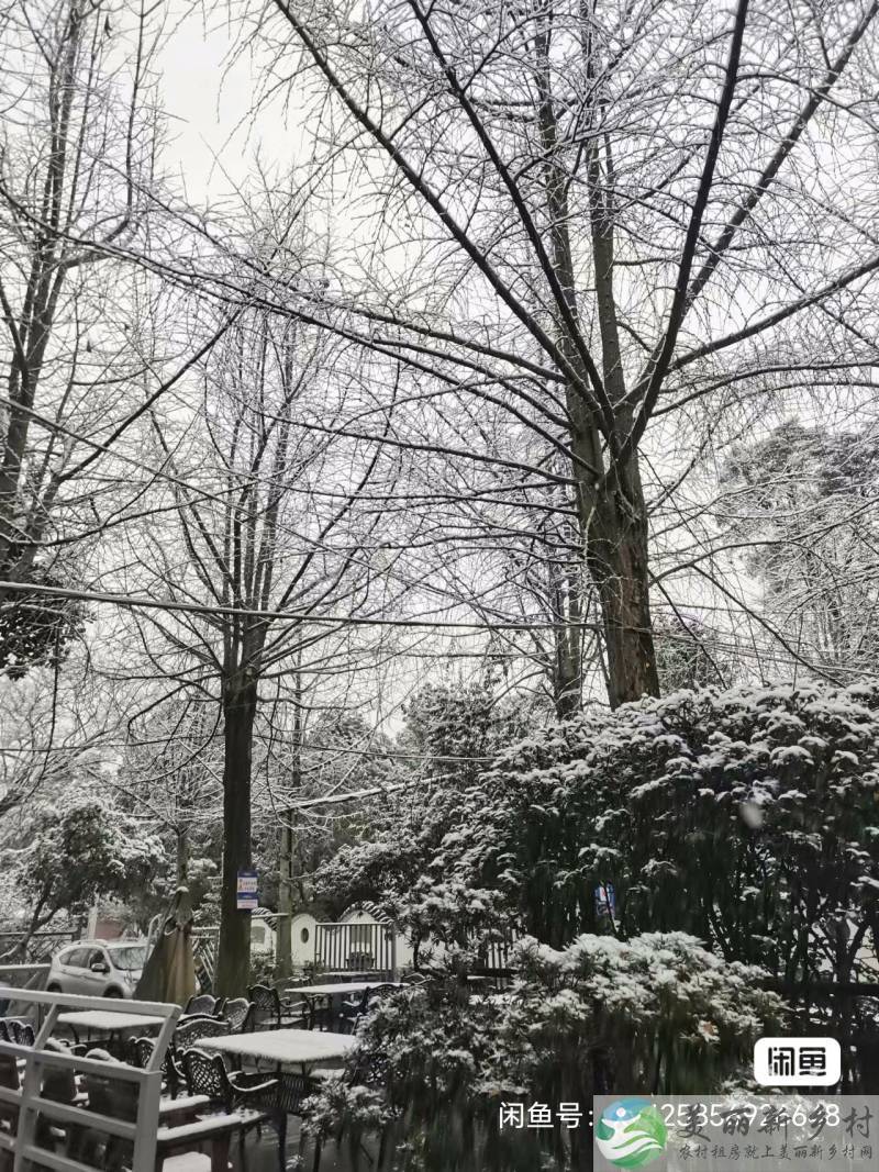 郫都区农科村 4A 景区内农家乐出租
