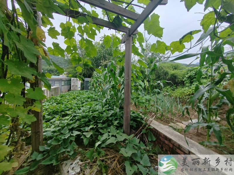 黄花城景区首席错落式庭院全精装大院--高档家私+拎包入住