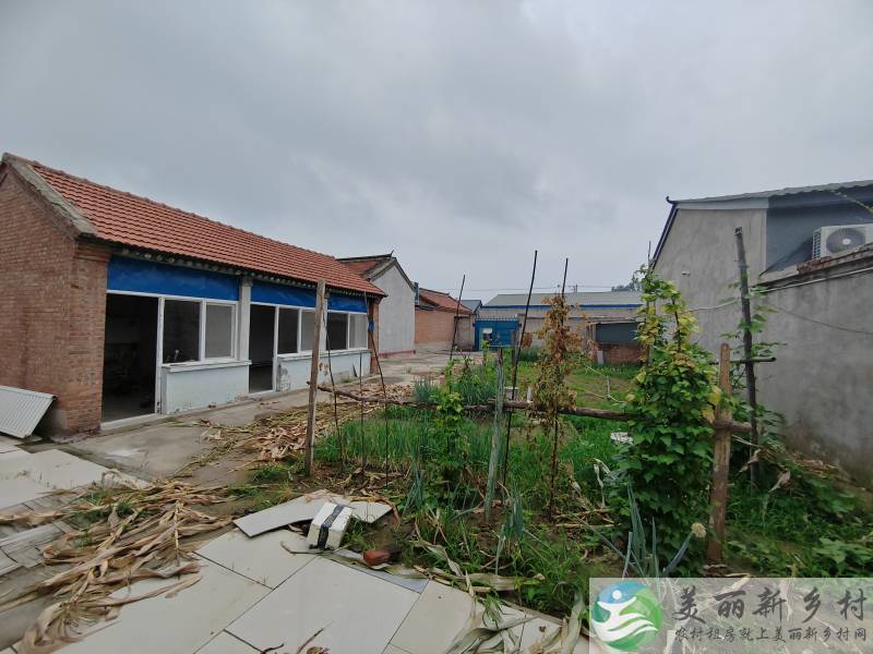 全能一亩地大院低价长期出租