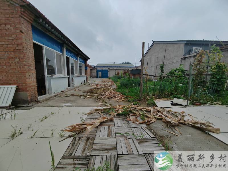 全能一亩地大院低价长期出租