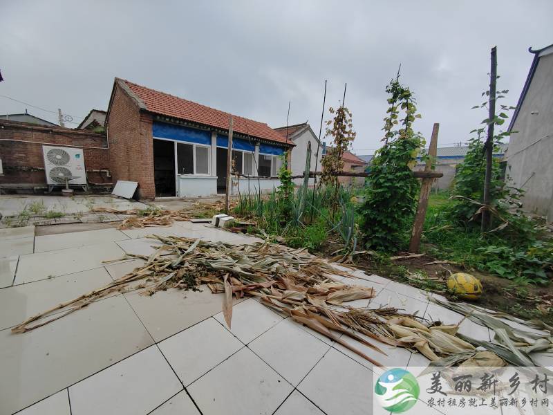全能一亩地大院低价长期出租