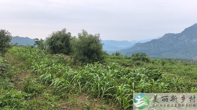 延寿镇南庄村