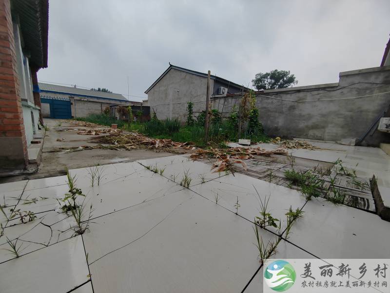 全能一亩地大院低价长期出租