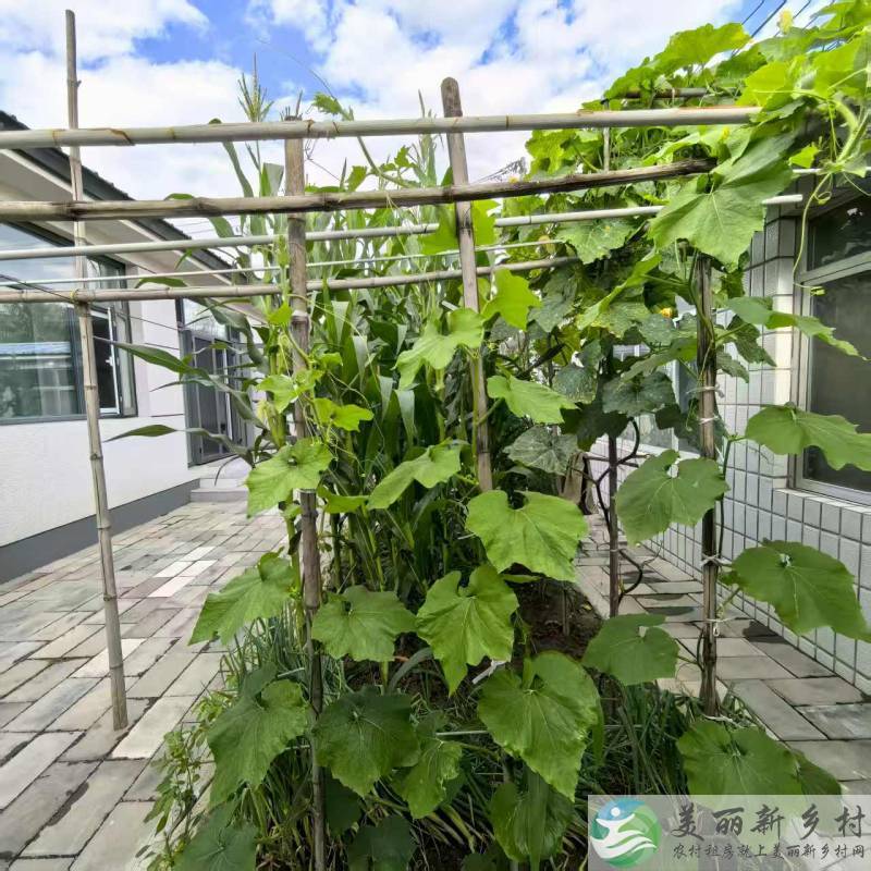 北京延庆农村院子-延庆城区边新房出租