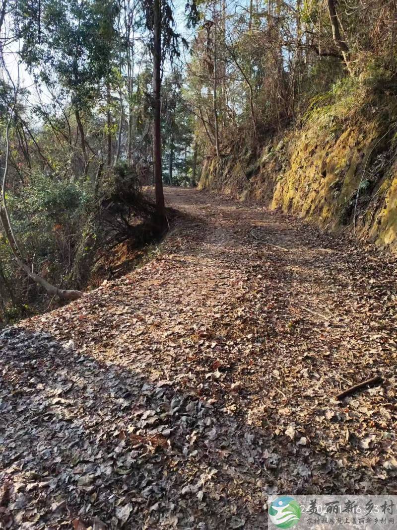 江西宜春靖安高湖镇下观村新芬高山避暑农房共享庭院 可单间农房出租