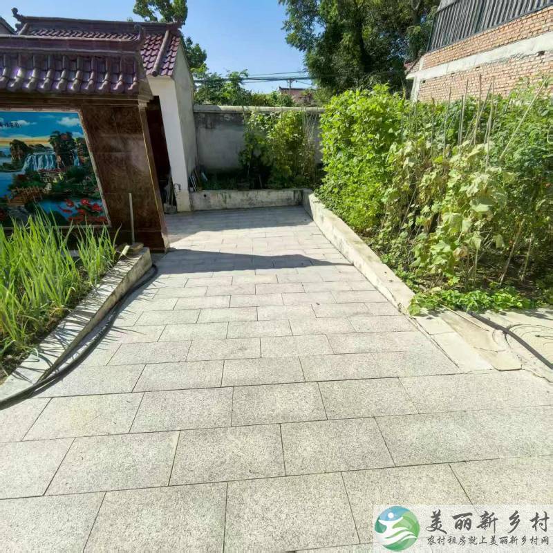 北京延庆农村院子-哇夏天凉快这个小院不错呦出租